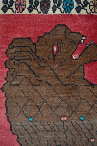 SHIRAZ - immagine 3