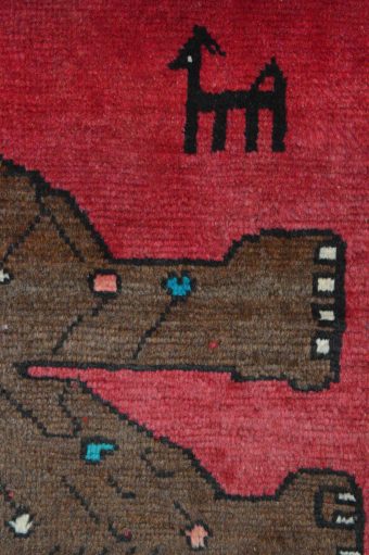 SHIRAZ - immagine 5