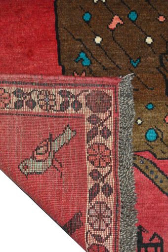 SHIRAZ - immagine 6