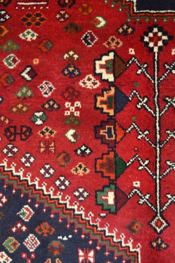 SHIRAZ - Image 5