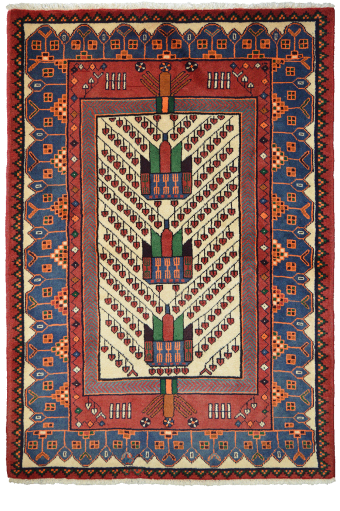 SHIRAZ - Image 2