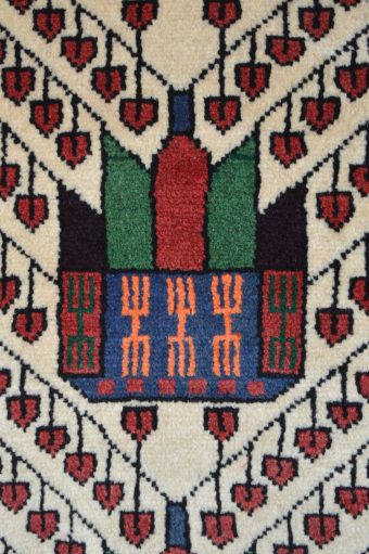 SHIRAZ - Image 3